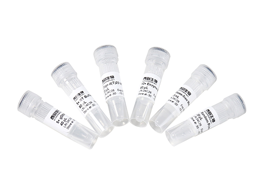 第一鏈反轉錄試劑盒（含雙鏈特異性DNA酶）(SiDoTek? First Strand cDNA Synthesis Kit (with dsDNase))